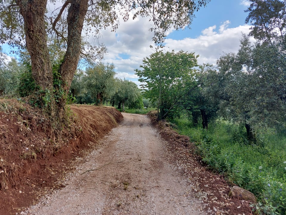caminho cancela 1