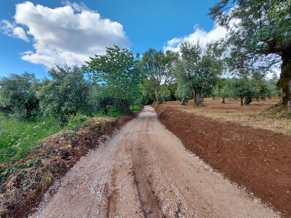 caminho cancela 10