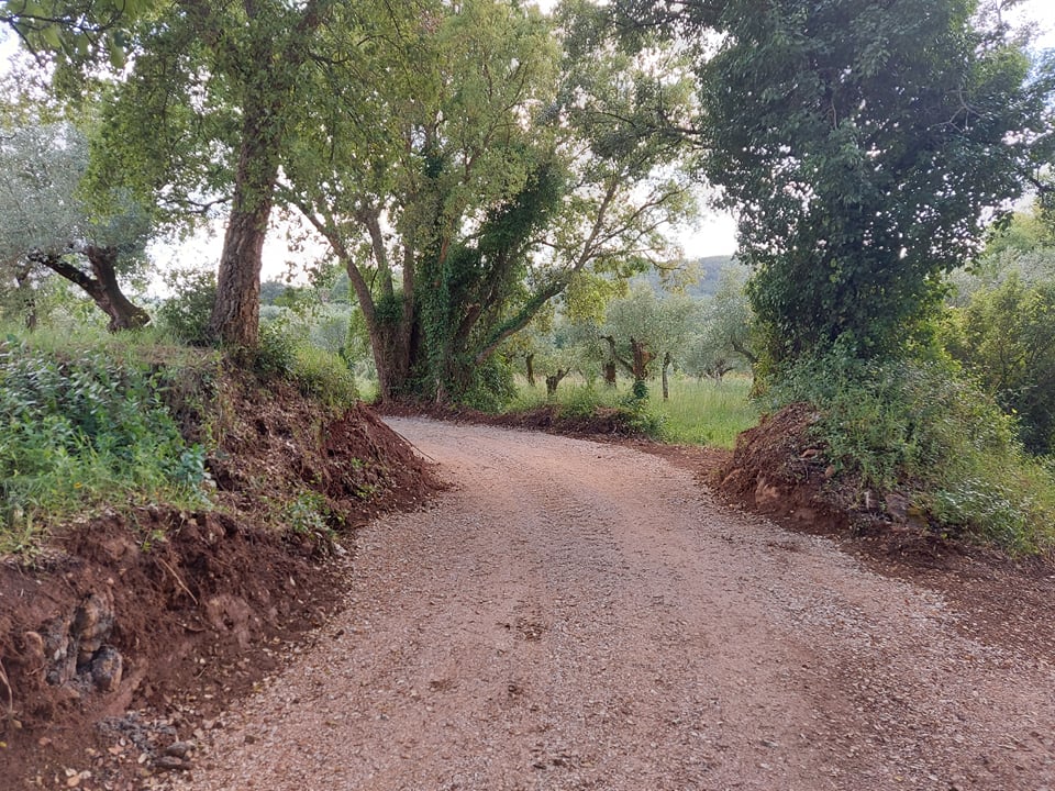 caminho cancela 6