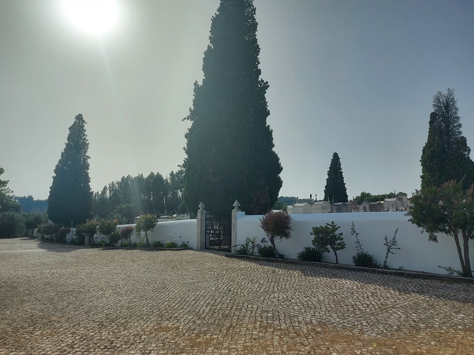 careias 14