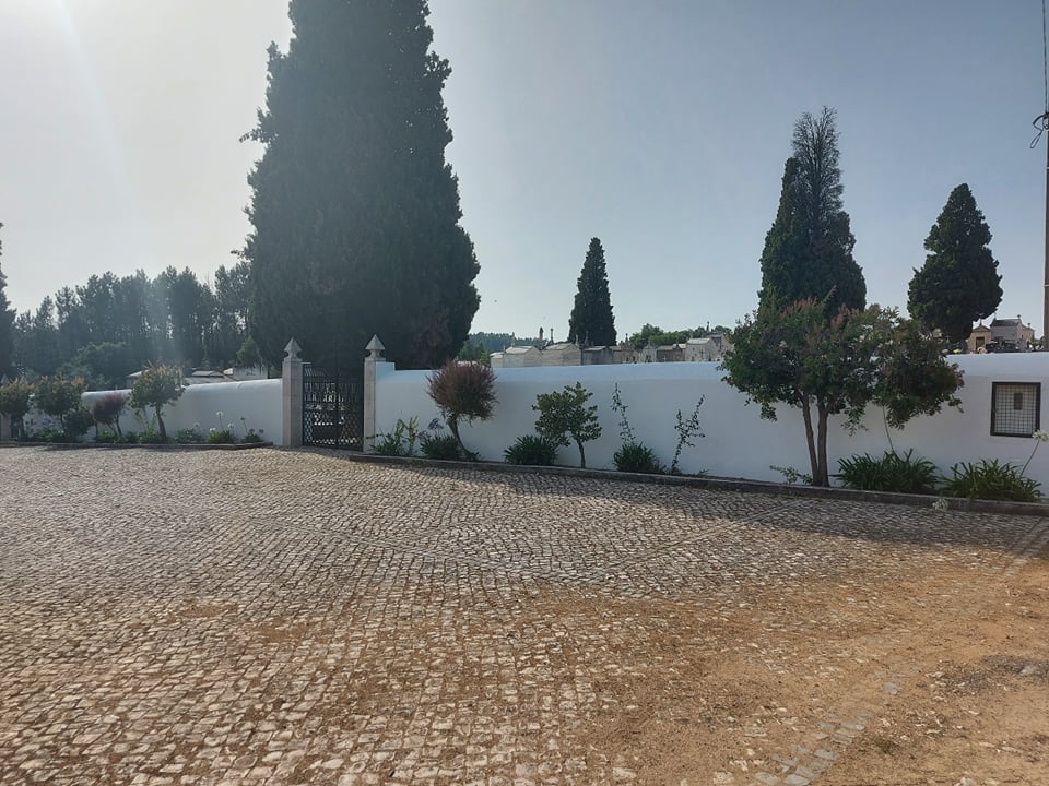careias 9