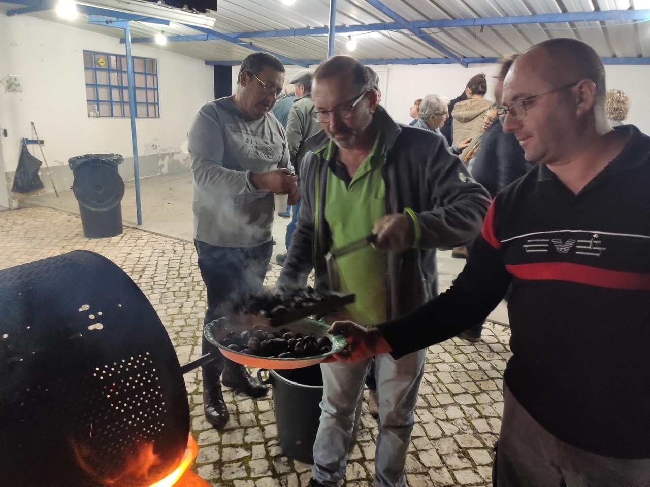 magusto 11