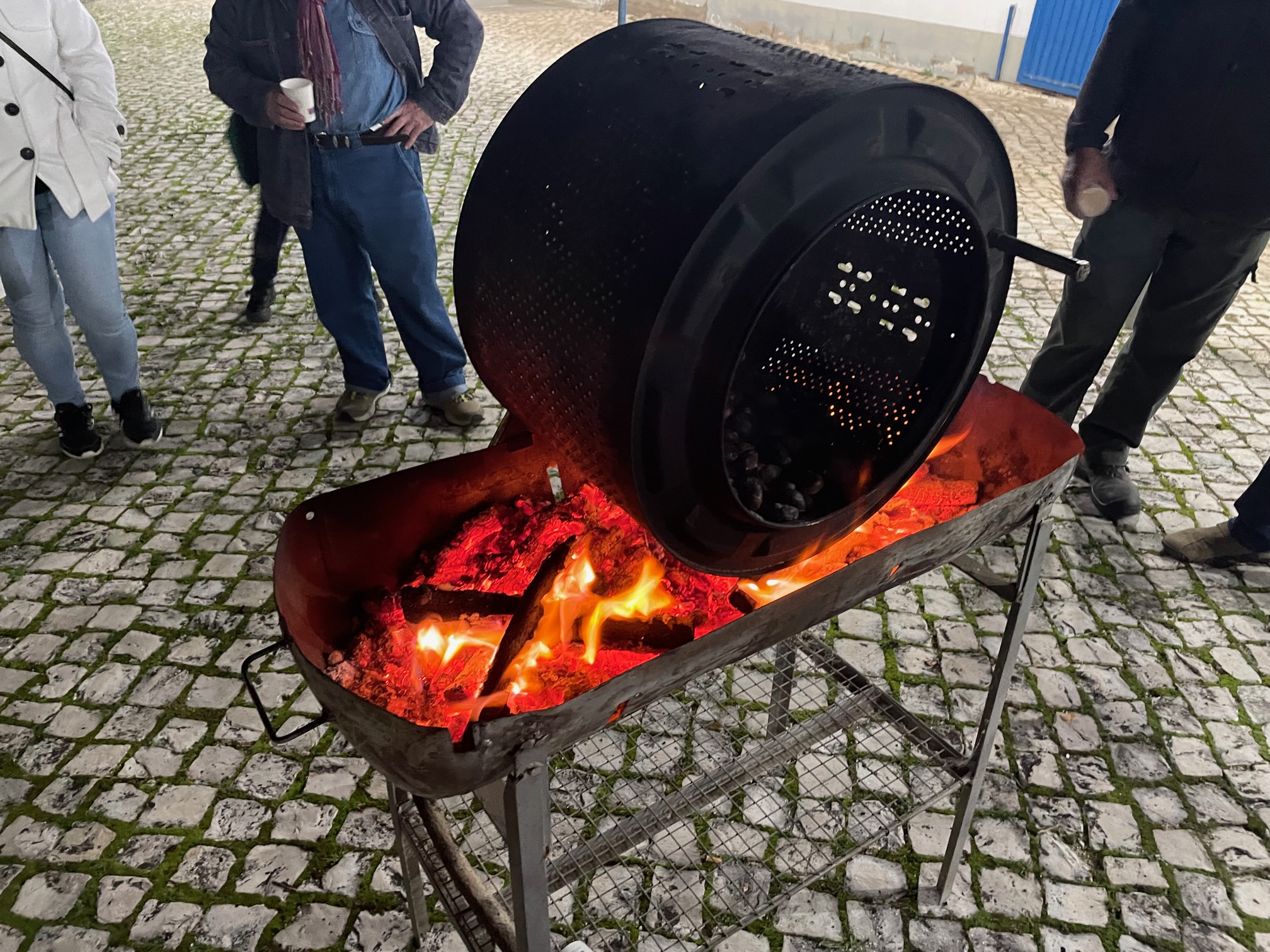 magusto 3